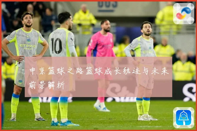 申京篮球之路篮球成长轨迹与未来前景解析