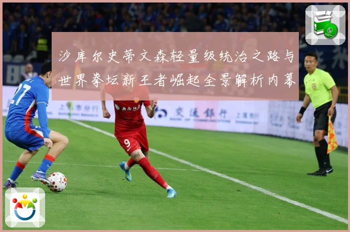 沙库尔史蒂文森轻量级统治之路与世界拳坛新王者崛起全景解析内幕