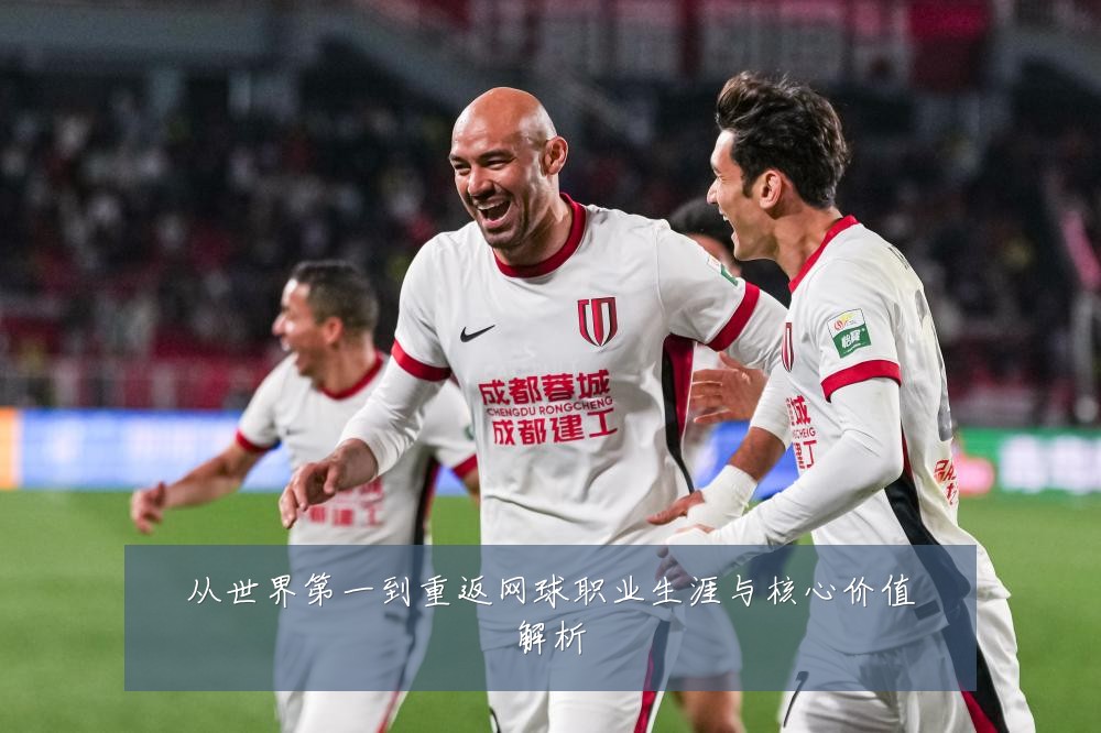 从世界第一到重返网球职业生涯与核心价值解析