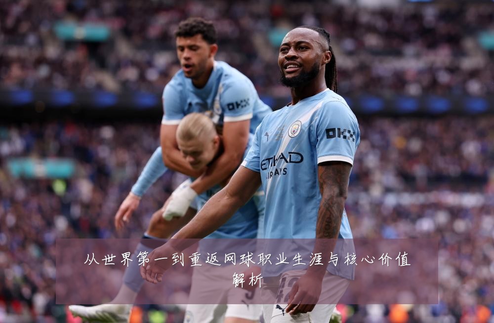 从世界第一到重返网球职业生涯与核心价值解析