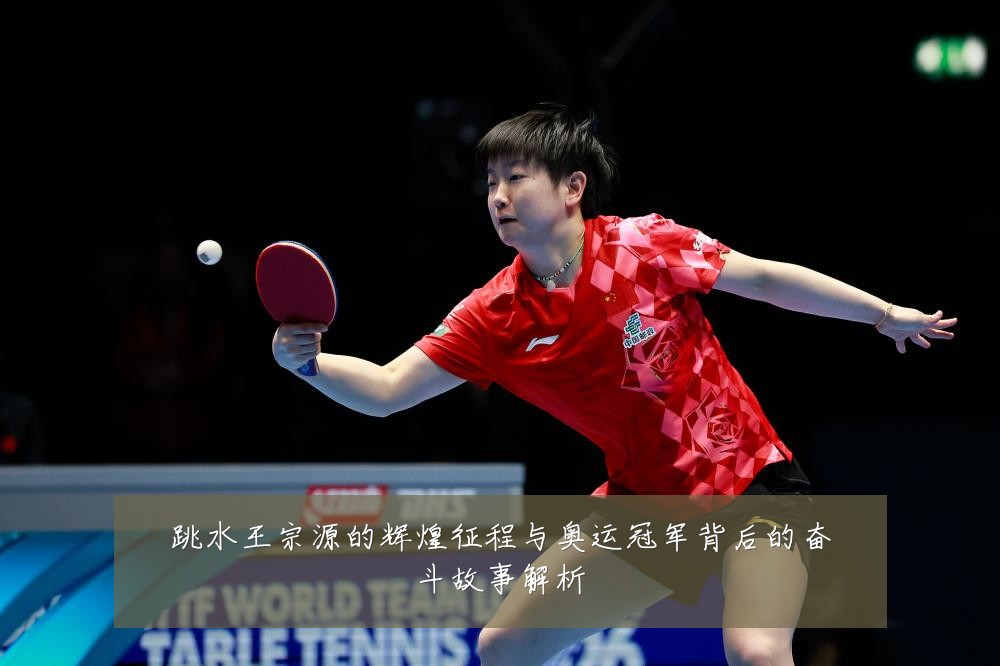 跳水王宗源的辉煌征程与奥运冠军背后的奋斗故事解析